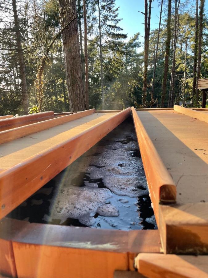 Bain De Foret - Lodges Cosy & Spa Neufchâtel-Hardelot Eksteriør billede