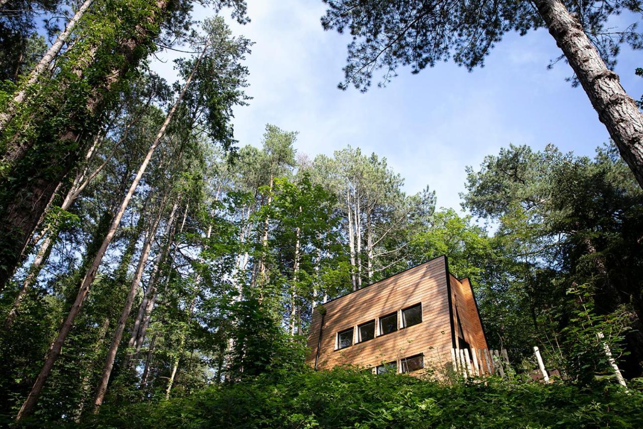 Bain De Foret - Lodges Cosy & Spa Neufchâtel-Hardelot Eksteriør billede