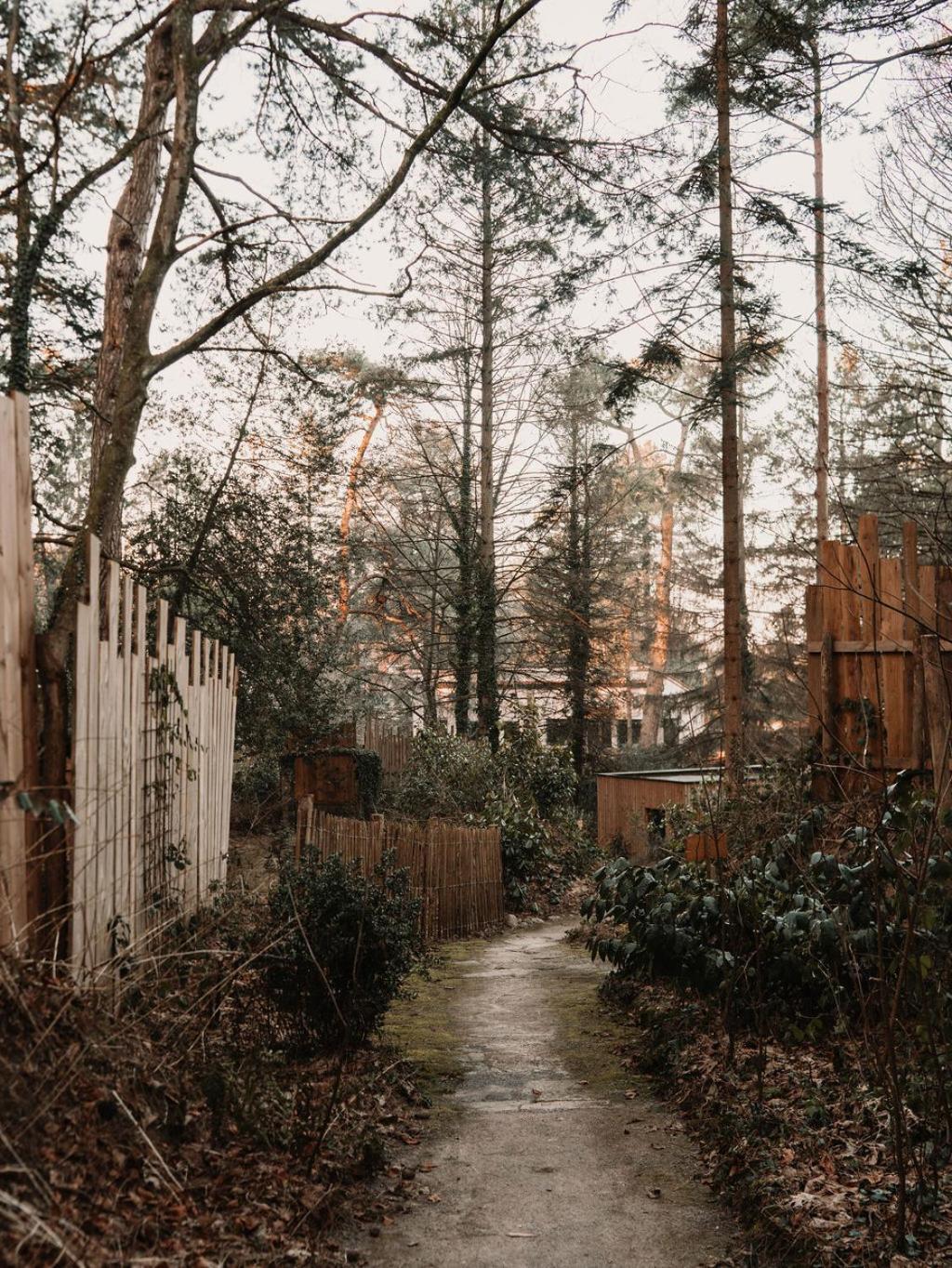 Bain De Foret - Lodges Cosy & Spa Neufchâtel-Hardelot Værelse billede