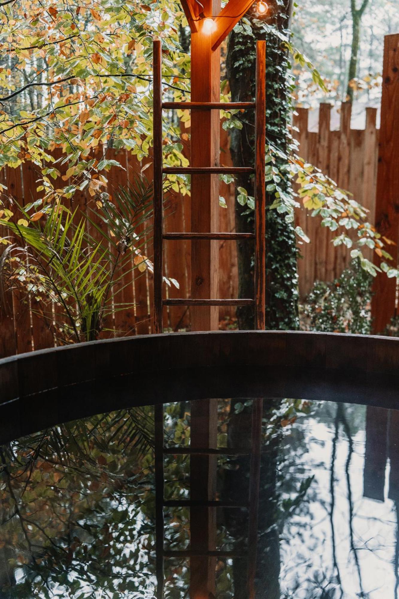 Bain De Foret - Lodges Cosy & Spa Neufchâtel-Hardelot Værelse billede